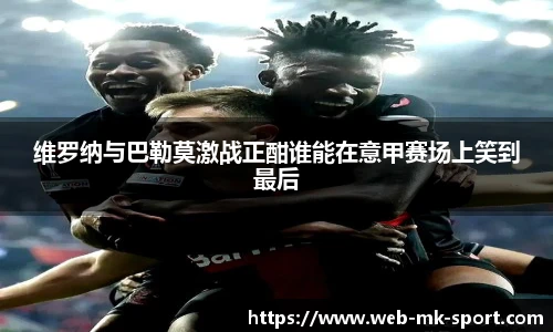 维罗纳与巴勒莫激战正酣谁能在意甲赛场上笑到最后